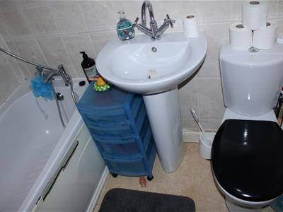 Picture 8